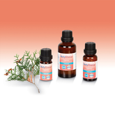 Esencia De Cipres Español