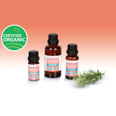 Esencia De Romero Español y Verberone