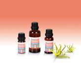 Esencia De Ylang Ylang